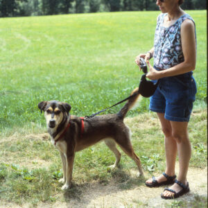 Dog 45 Minute Visit